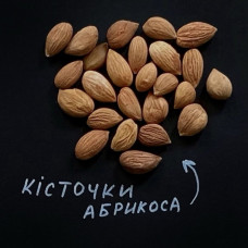 Ядро кісточки абрикоса